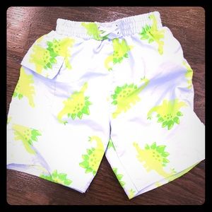 Toddler Boys Swim Trunks